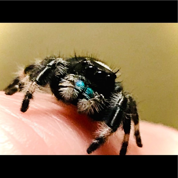 Meet your Posher, Melissa - Picture 5 of 8